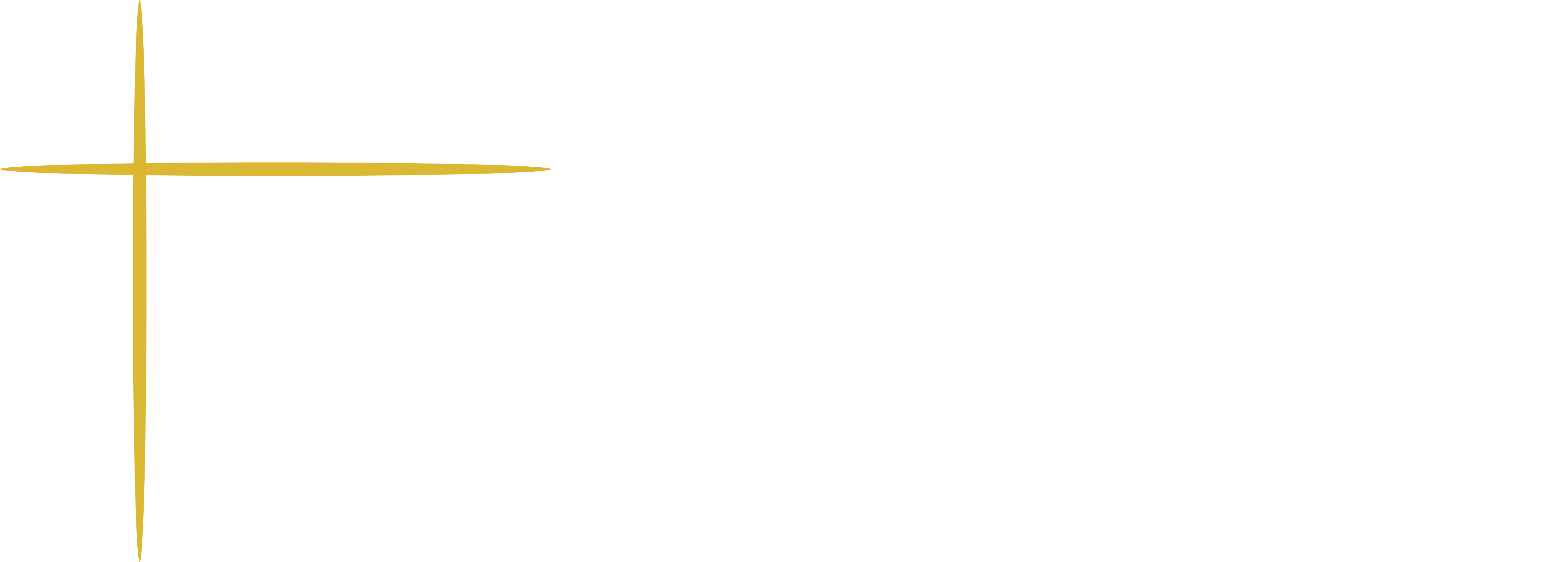 Professional Franchise Solutions